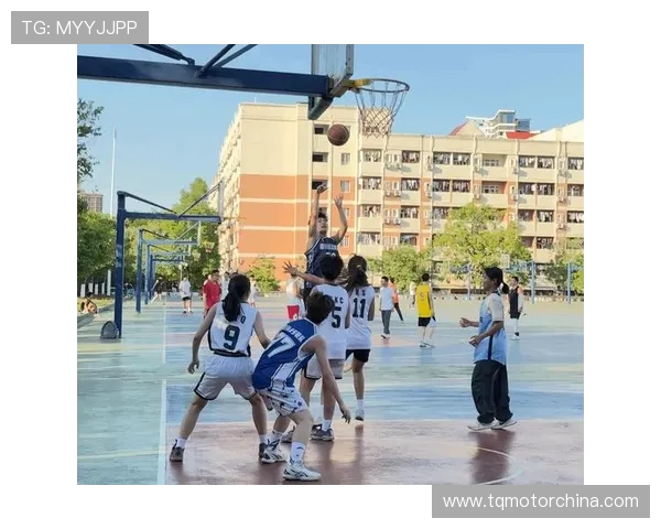 篮球燃梦青春赛场见证拼搏激情与团队荣耀
