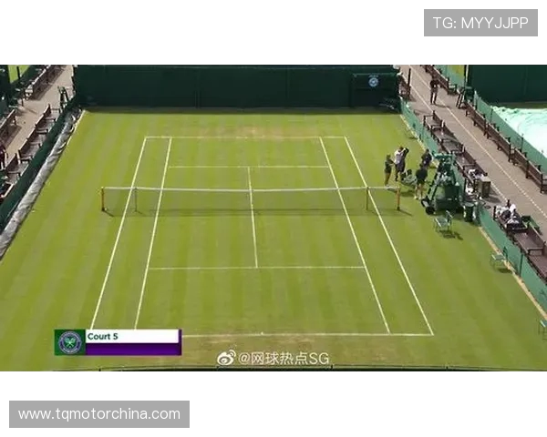 网球运动发展历程解析：从草地到硬地场地的技术与战术变革