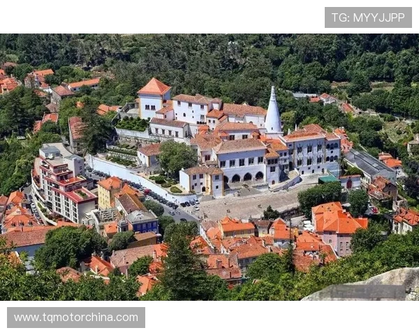 深度探索葡萄牙波尔图城市风光与历史文化美食之旅