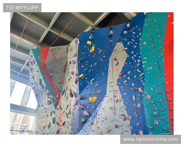 重庆攀岩队包夹战术解析与攀岩热点发展趋势探讨