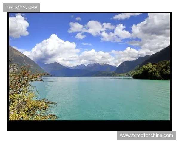 可兰白克的传奇人生与文化影响力探讨之旅