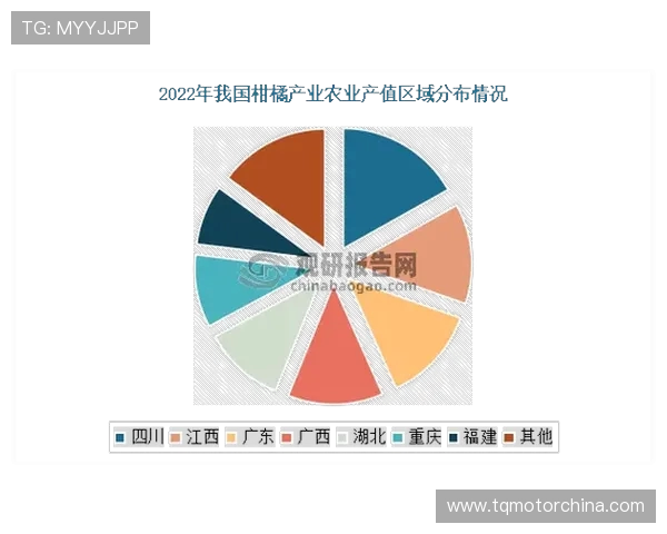 天猫与火花在市场竞争中的排名分析与发展趋势探讨
